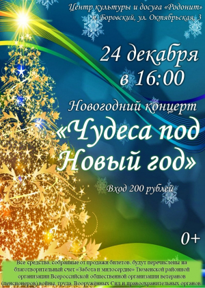 Новогодний концерт «Чудеса под Новый год»