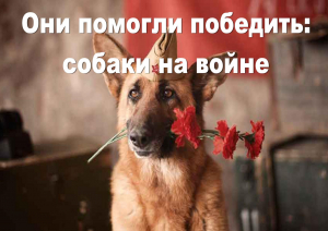 «Они помогли победить: собаки на войне»