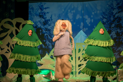 Новогоднее театрализованное представление «Ошибка Дедушки Мороза или Новогодний переворот» в Викуловском районном Доме культуры