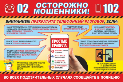Профилактическая программа «Осторожно, мошенники!»