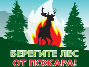 Профилактическая программа  «Берегите лес от пожара»