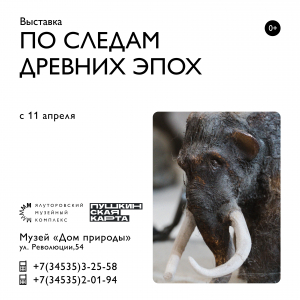 Выставка &quot;По следам древних эпох&quot; открывается в Ялуторовском музейном комплексе