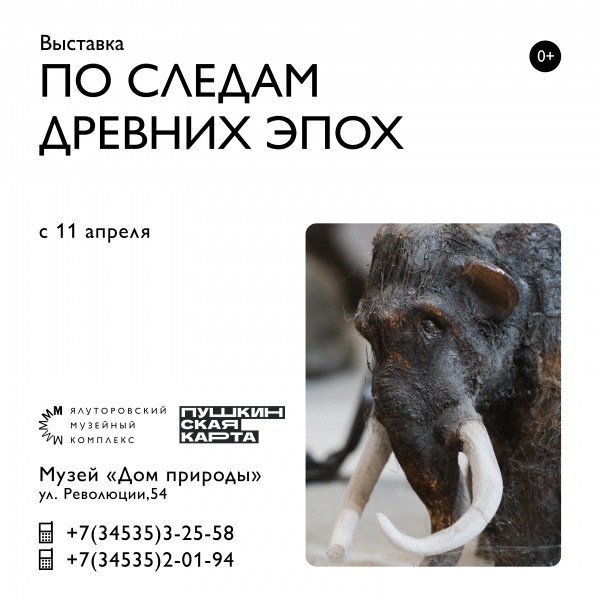 Выставка &quot;По следам древних эпох&quot; открывается в Ялуторовском музейном комплексе