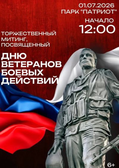 Торжественный митинг, посвященный Дню ветеранов боевых действий