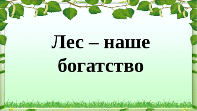 Лес - наше богатство