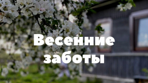 Встреча – общение «Весенние заботы»